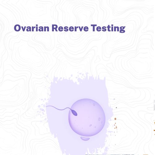 Ovarian Reserve Testing: Why AMH and AFC Are the Roadmaps to Your Fertility Future
