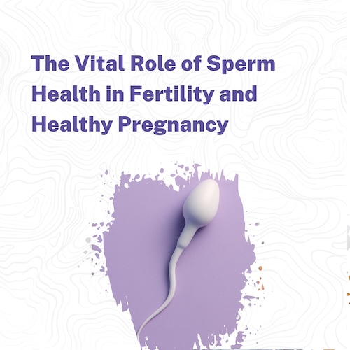 The Vital Role of Sperm Health in Fertility and Healthy Pregnancy