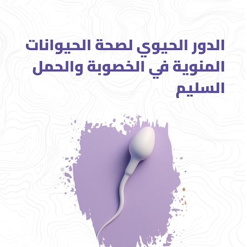 الدور الحيوي لصحة الحيوانات المنوية في الخصوبة والحمل السليم