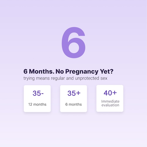 What Should You Do After 6 or 12 Months of Trying to Conceive Without Success?