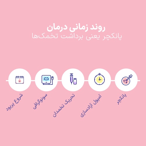 عمل پانکچر (تخمک‌کشی) چیست؟ چگونه آماده شویم و چه بخوریم تا دچار OHSS نشویم؟