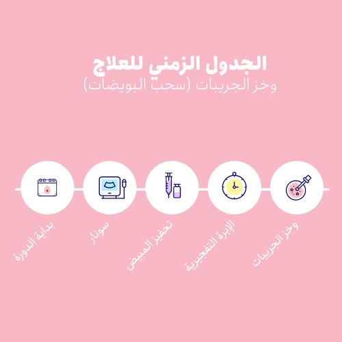 ما هي عملية سحب البويضات (البنكشر)؟ وكيف نستعد لها، وماذا نأكل لتقليل خطر الإصابة بـ OHSS؟